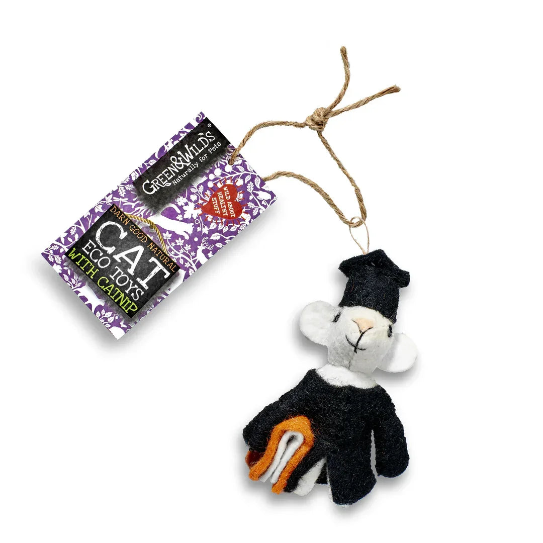 Archibald Mouse Eco Cat Toy with Catnip